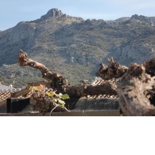 EL BALCÓN DEL CHAMIZO