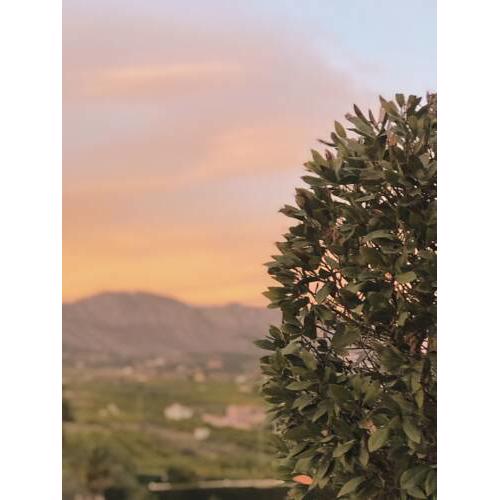 El Cid Country Club