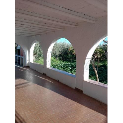 El cortijo de la abuela