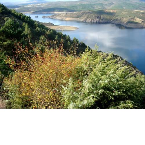 El Egio