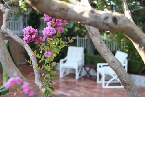 El jardín de la abuela