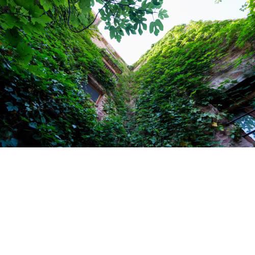 El Jardín Vertical