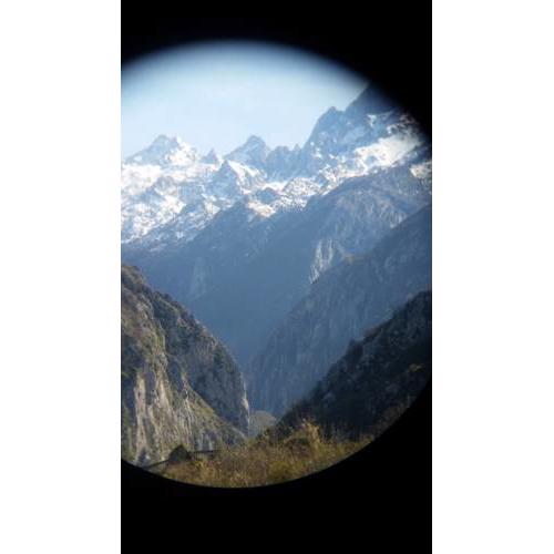 El llagar