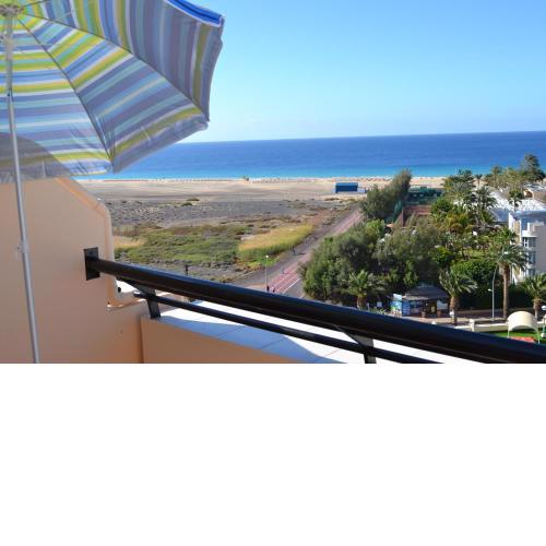 EL MIRADOR