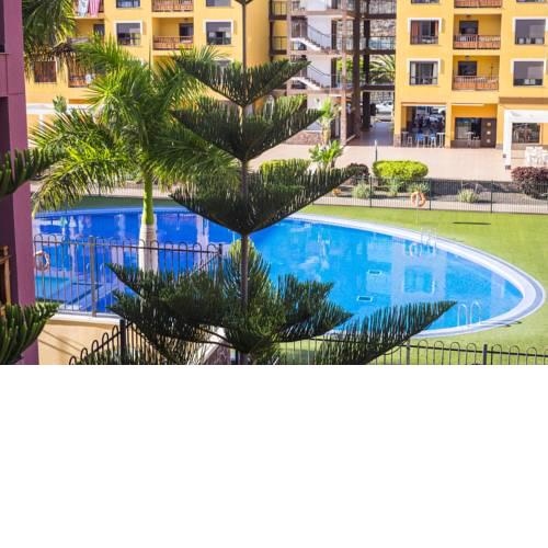 El Mocan Palm Mar