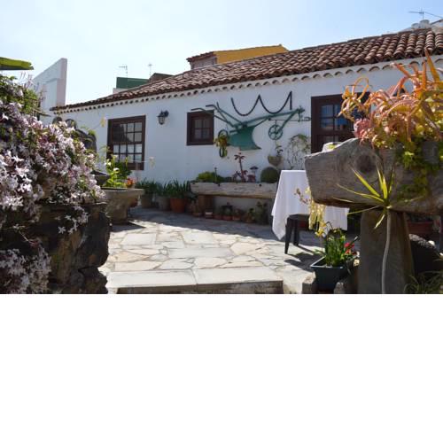 El Patio del Naranjo