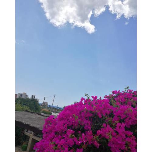 El rincón de la Quinta