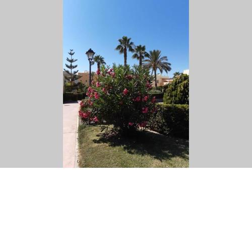"EL RINCON" naturist boutique apartment