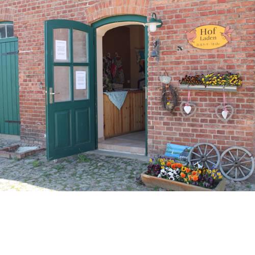 Elegant farm Apartment in Steffenshagen with garden