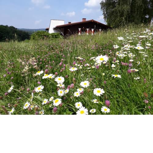 Ellernhof im Spessart