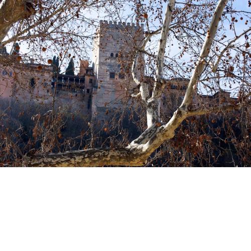 Embrujo de Granada - Free Parking - Paseo de los Tristes - Wifi