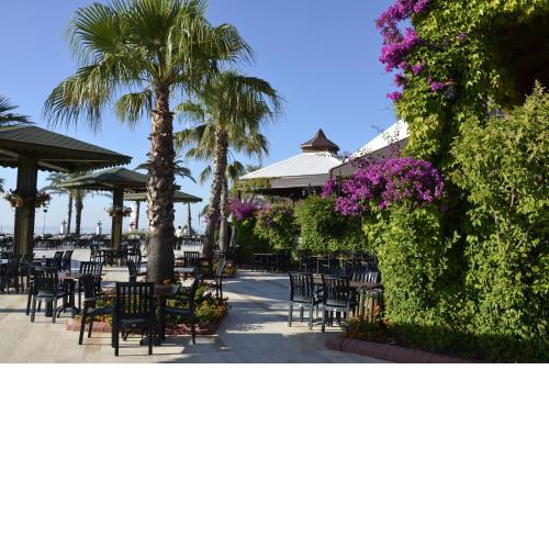 Emelda Sun Club