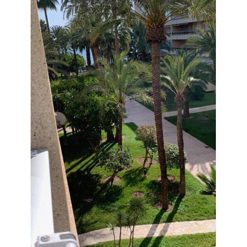 Encantador Apartamento Torrevieja Playa