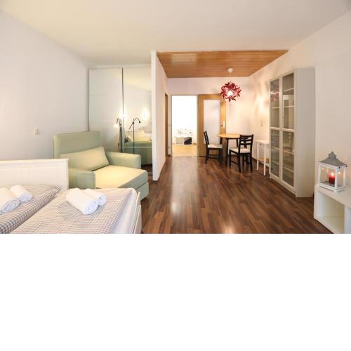 Energetic Mountain Apartment