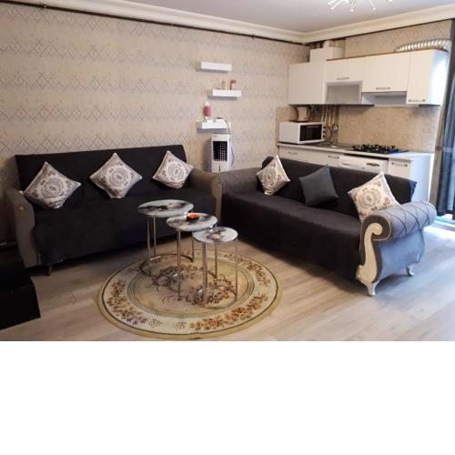Entire Apartment in central location of European side of Istanbul