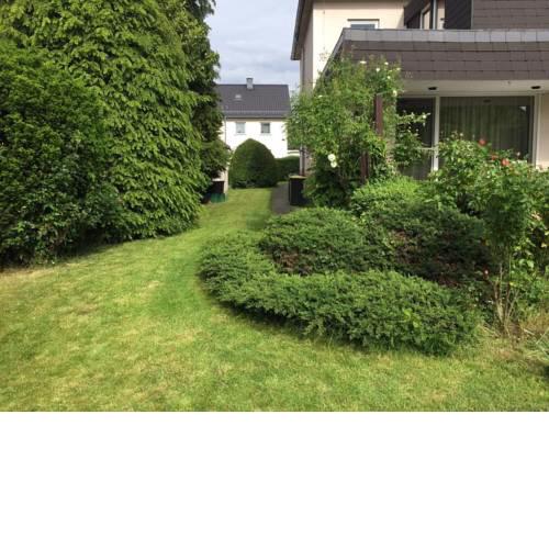 Entire house, quiet city location, garden, parking