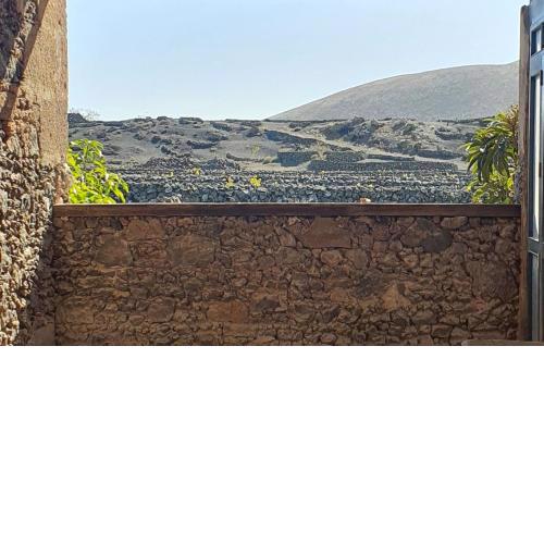 Entre viñedos de Lanzarote
