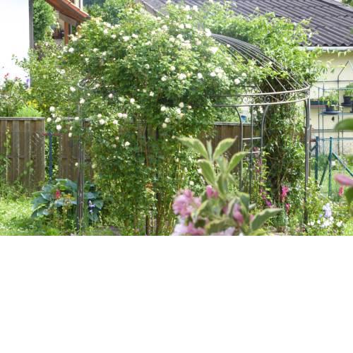 Enzkreisspitze Garten