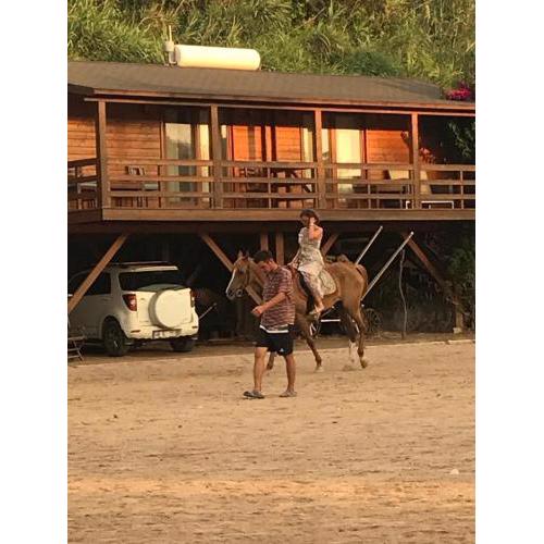Equestrian and Beach Club