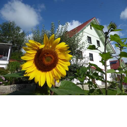 erholungsraum Karsee - Ferienwohnung