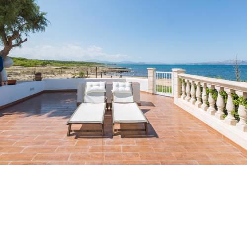 Es Mirador (Solidago)