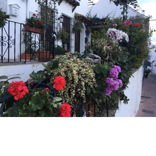 Estepona 3