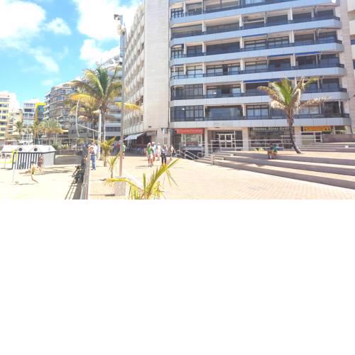 Estrella de Mar