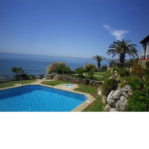 Estrella del mar