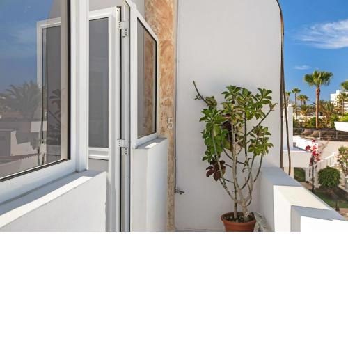 Estudio 5 Costa Adeje