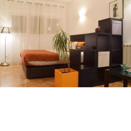 Estudio acogedor y luminoso