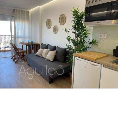 Estudio Aguila3