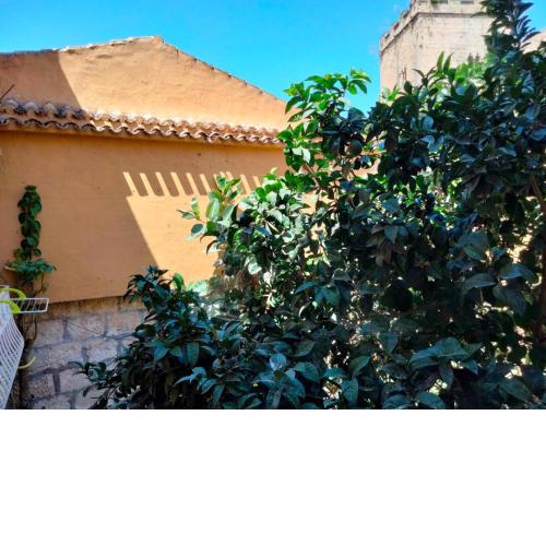 Estudio Castillo