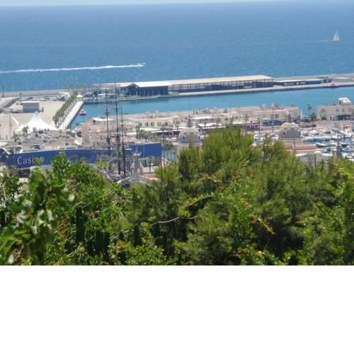 Estudio Centro Alicante