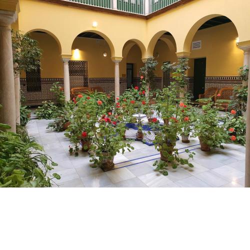Estudio Centro con Cocina