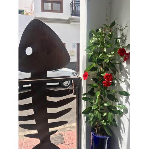 Estudio del Pescado en el Charco
