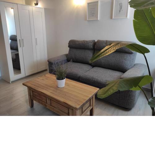 Estudio-Loft Avenida Manzanilla
