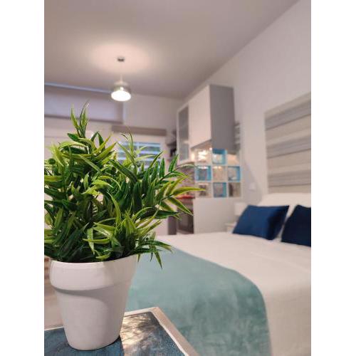 Estudio Madrid Norte 2