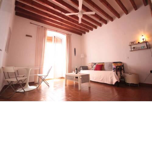 Estudio Tipo Loft en el Centro de Alicante!