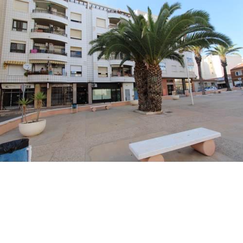 Estudio Torrevieja 4382