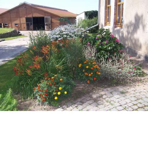 Cozy Apartment in Kropelin Kuhlungsborn and Doberan, with Garden