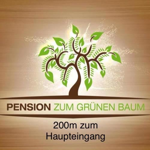 Europa Pension zum Grünen Baum