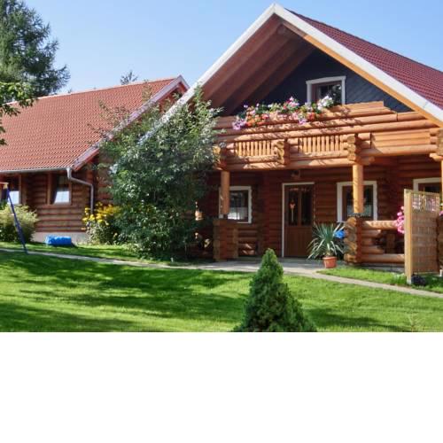 Exclusive holiday log cabin in Dankerode