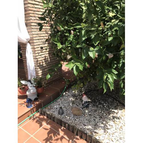 Exclusivo apartamento “La casa del limonero” 1 dorm.