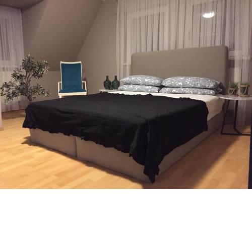 Exklusive Ferienwohnung in Stadtmitte