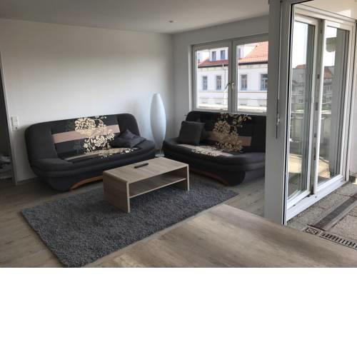 Exklusive Wohnung mit Dachterrasse in Schleußig