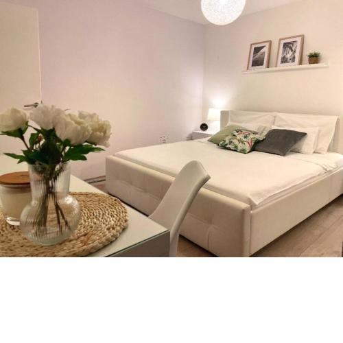 Experience Novi Vinodolski in Adriamore apartman