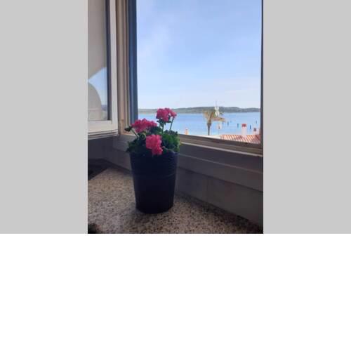F76. Vistas al mar en Fornells!