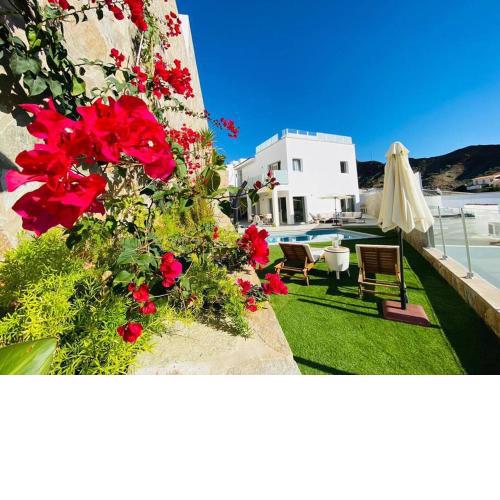 Fabulous new villa with private pool / ocean view