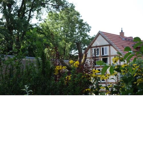 Fachwerkhaus am Fluss