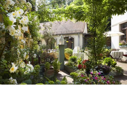 Fährhaus Meißen B&B